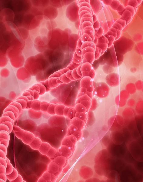 check genetica-2